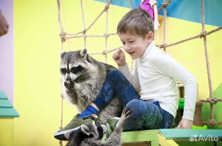 Аниматоры Пенное шоу Химия Бумага Фокусник Пузыри