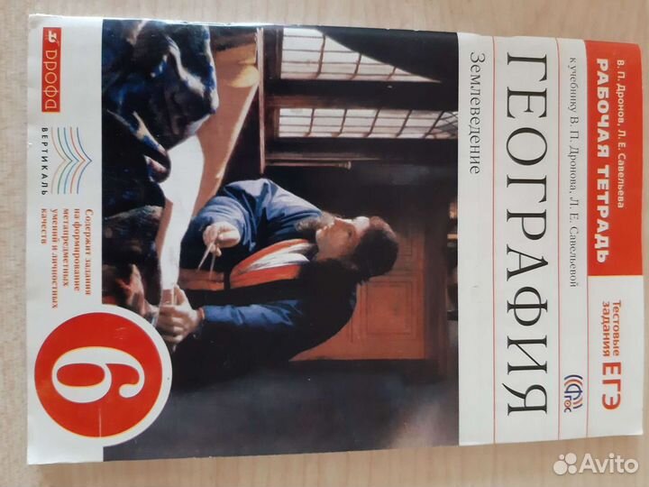 География рабочая тетрадь 6 класс