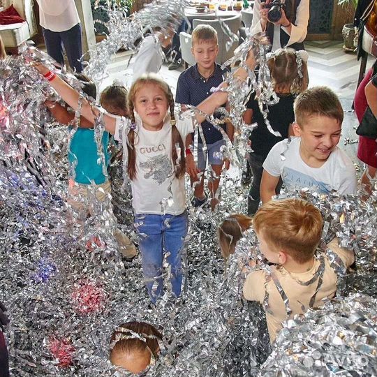 Серебряное шоу на детский праздник
