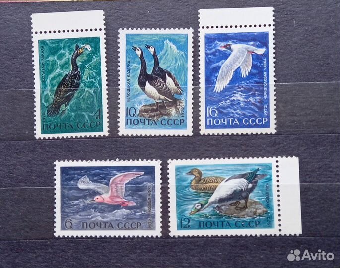 Почтовые марки. Фауна