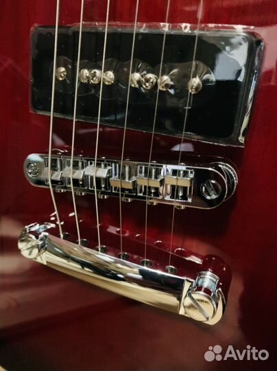 Электроакустика + Чехол (комплект)