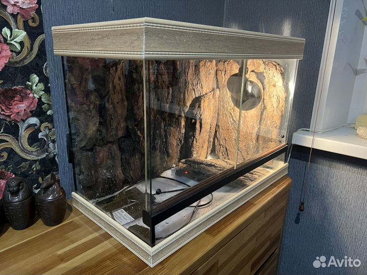 Террариум для рептилий