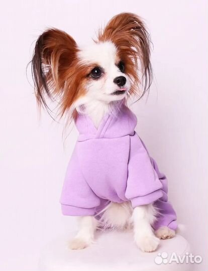 Одежда и Обувь для маленьких собак