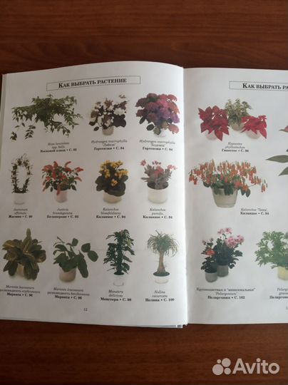 Книга Комнатные растения в интерьере