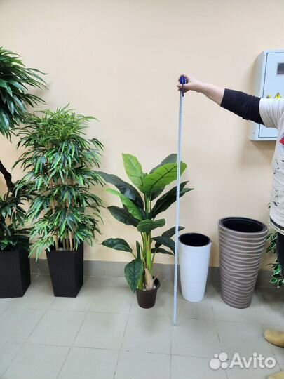 Пальма Банан Мини цветок искусственный в кафе офис