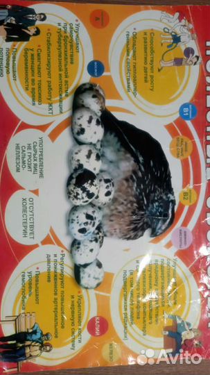 Яйца перепелиные