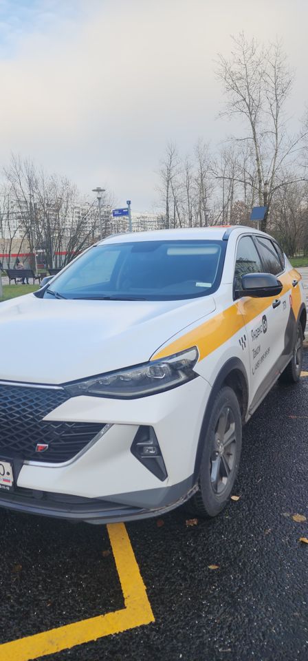 HAVAL F7: фото владельца