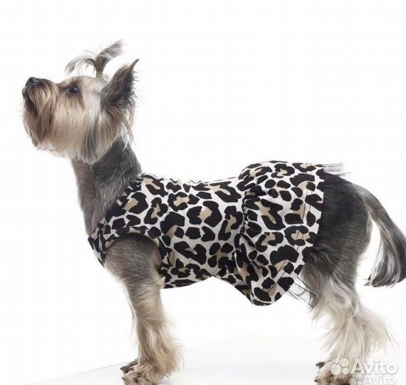 Новые платья для собак 25-45