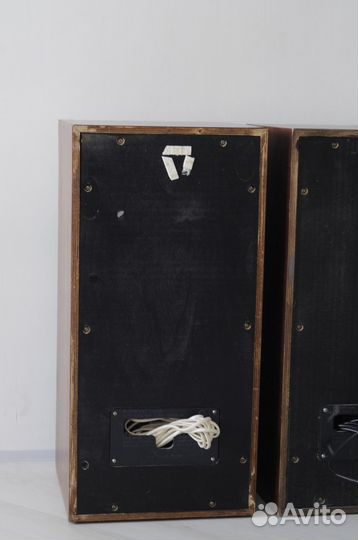 Акустическая система колонки вега 50-ас-104