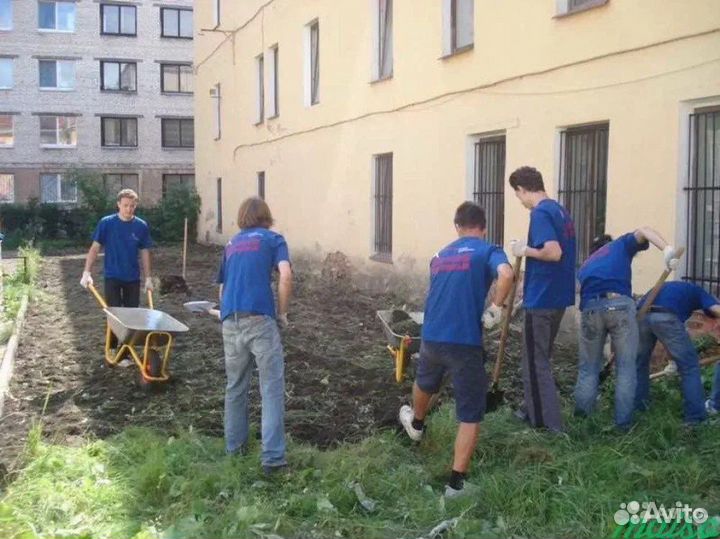 Грузчики/Разнорабочие/Подсобники/Новочеркасск