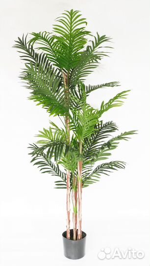 Искусственная пальма