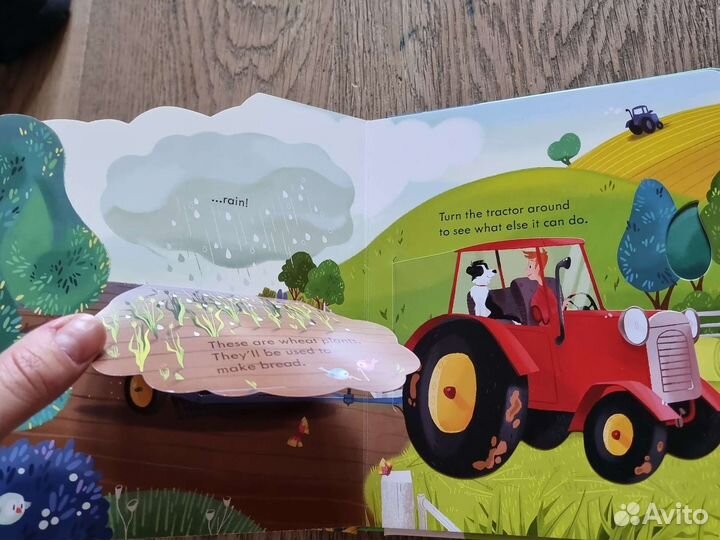 Книга с окошками на английском