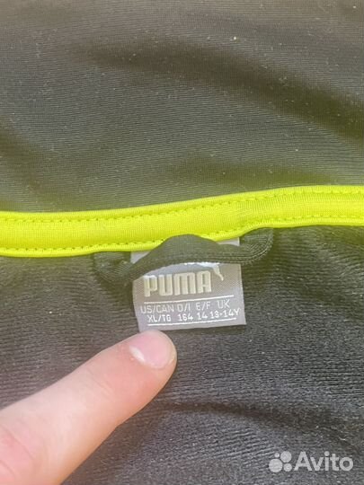 Олимпийка puma мужская