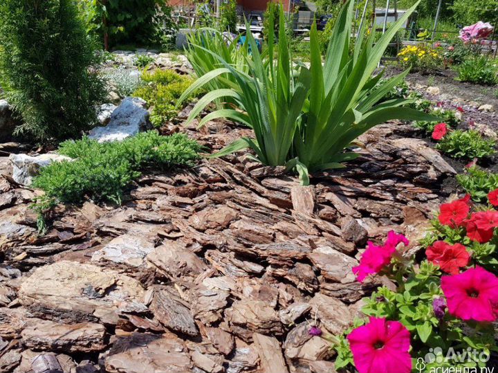 Сосновая кора/мульча