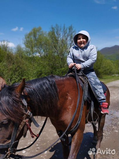 Конные прогулки