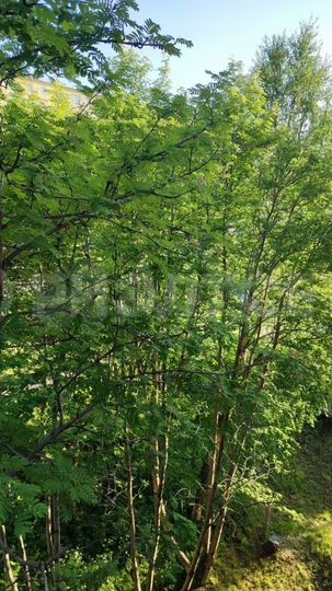 2-к. квартира, 44,7 м², 4/5 эт.