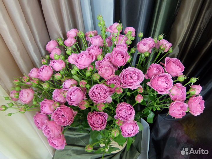 Пионовидные кустовые розы