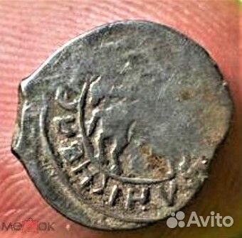 Чешуя удельная Сокольник Василия Дмитриевича