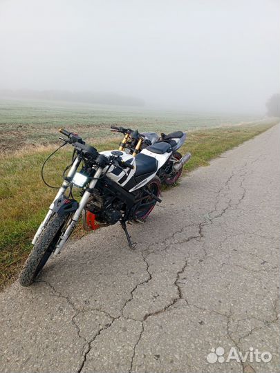 Honda patron sport 200