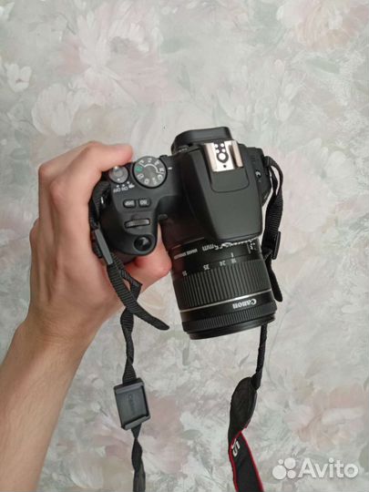 Canon eos 200d kit + 50mm 1.8