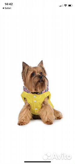 Куртка с капюшоном для маленьких собак