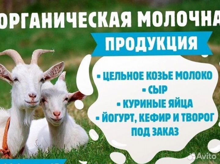 Козье молоко