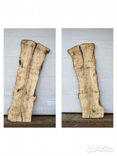 Слэб клен в наличии