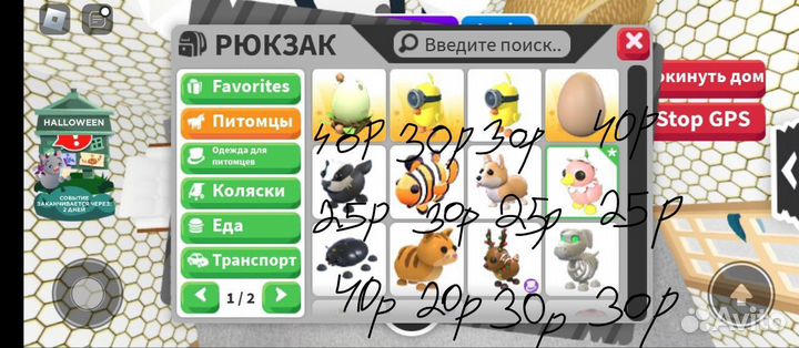 Петы из адопт ми