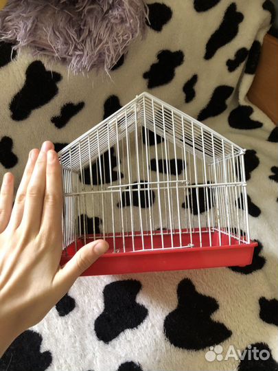 Клетка для грызунов