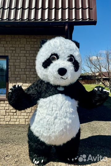 Мишка на праздник