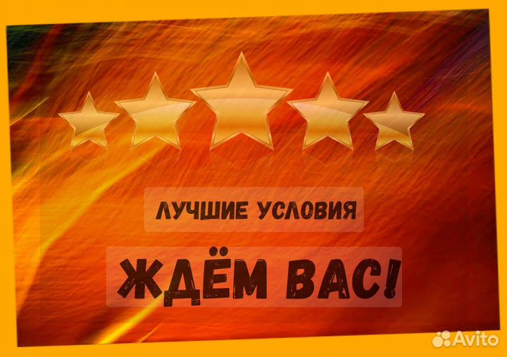 Комплектовщик Спецодежда Еженедельный аванс М/Ж