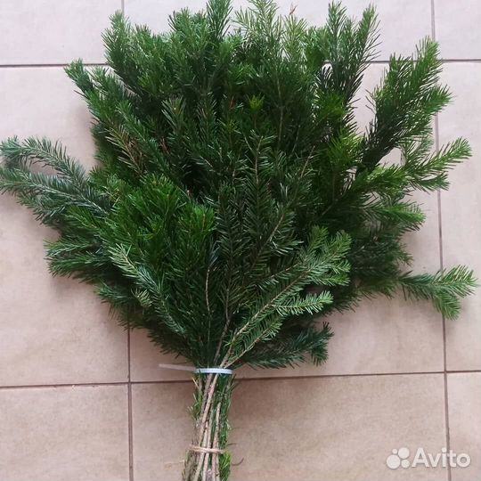 Веники пихтовые с доставкой