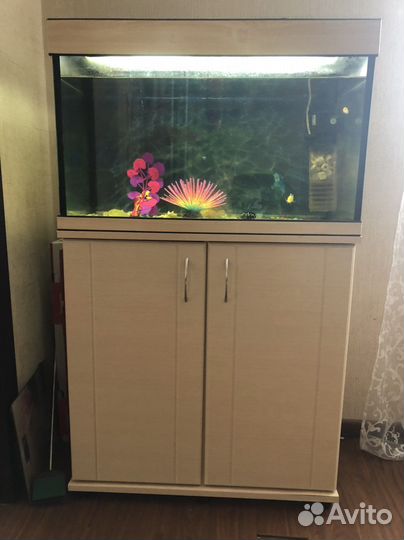 Аквариум на 100 литров