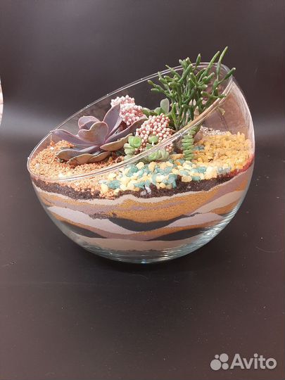 Флорариум. Оригинальный подарок