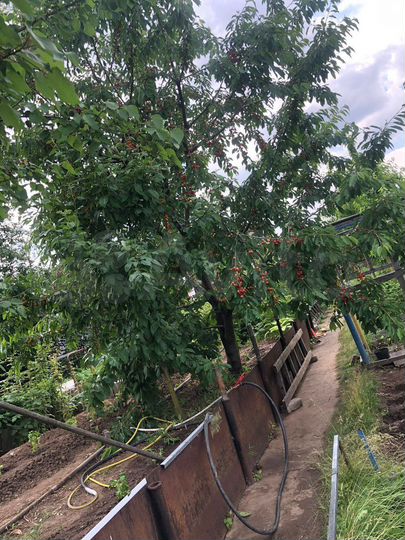 Дача 20 м² на участке 5,1 сот.