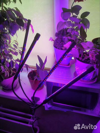 Фитолампа для растений полный спектр