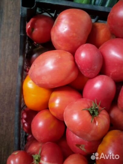 Помидоры домашние