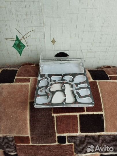 Муравьиная ферма Мистер ант