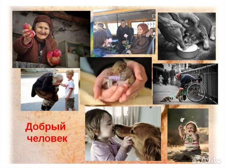Котики поддержите стерелезацию котеечек
