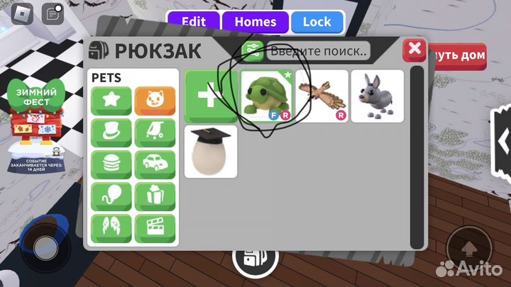 Обменяю фр черепаху на фр кенгуру