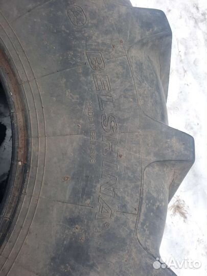 Шина 30.5l 32