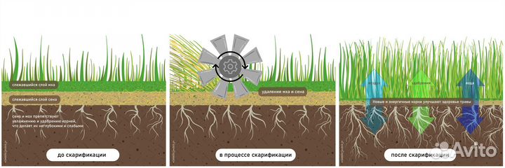 Скарификация, вычесывание, аэрация газона