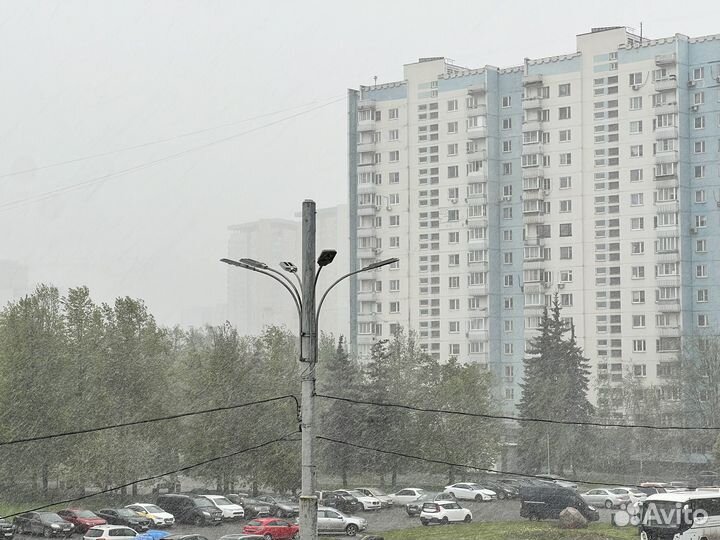 Экскурсия по Олимпийской деревне в Москве