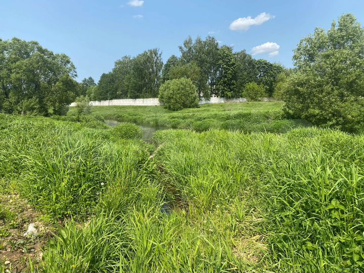 Участок 10 сот. (ИЖС)