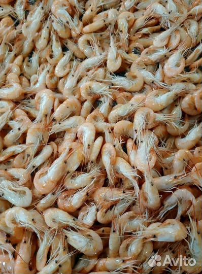 Креветка сочная, сладкая