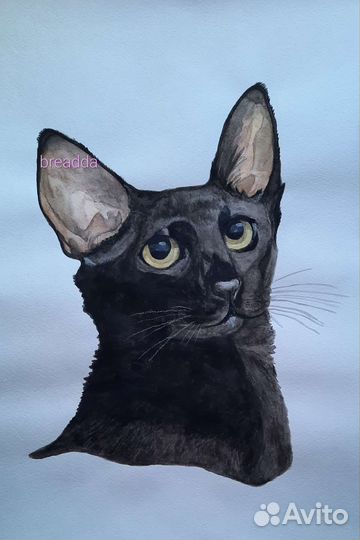 Нарисую вашего питомца