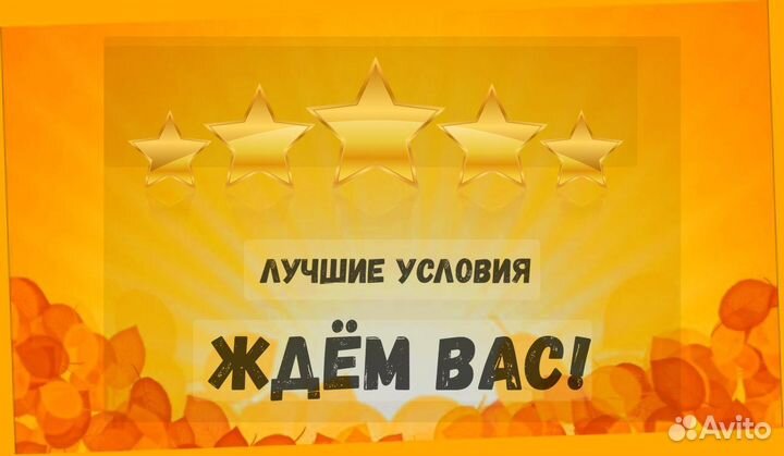 Сортировщик Еженедельный аванс Спецодежда М/Ж