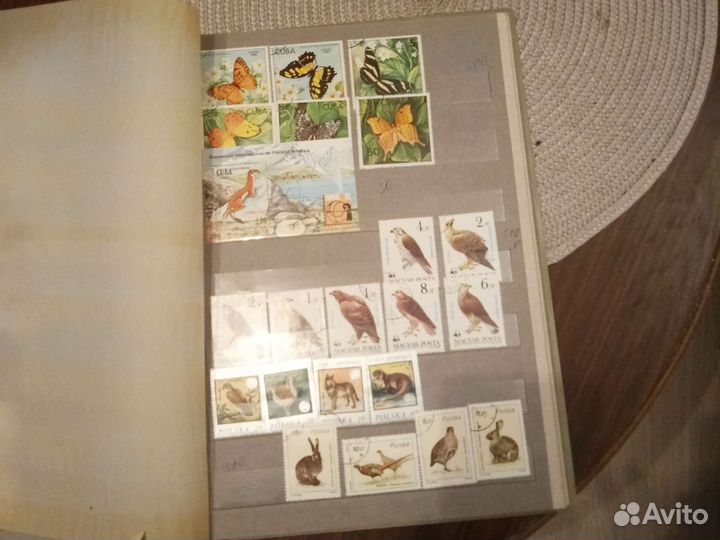 Альбом животные разные страны 10страниц