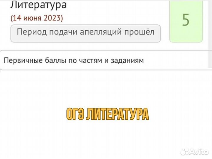 Репетитор по Литературе огэ и егэ