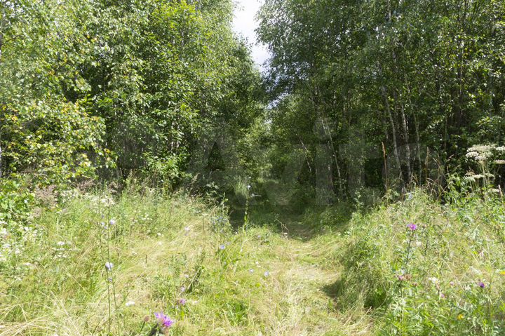 Участок 9 га (СНТ, ДНП)